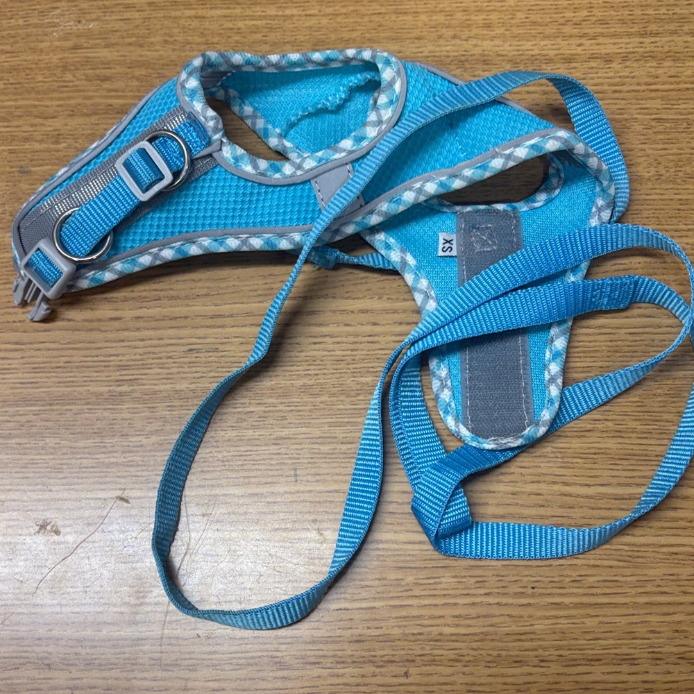 Animal Variations of Pet Harness’s and Special Pet Wear
